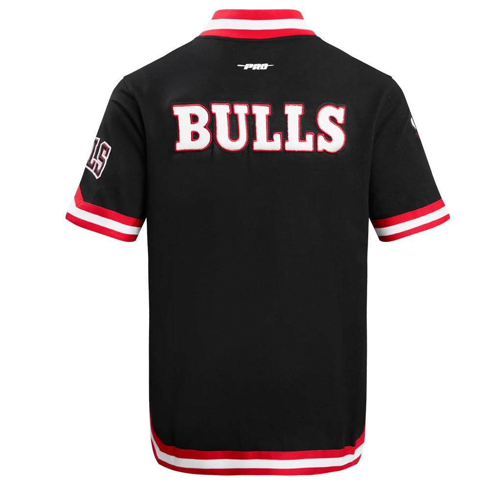 CHICAGO BULLS MEN'S BUTTON DOWN CLASSIC CHENILLE