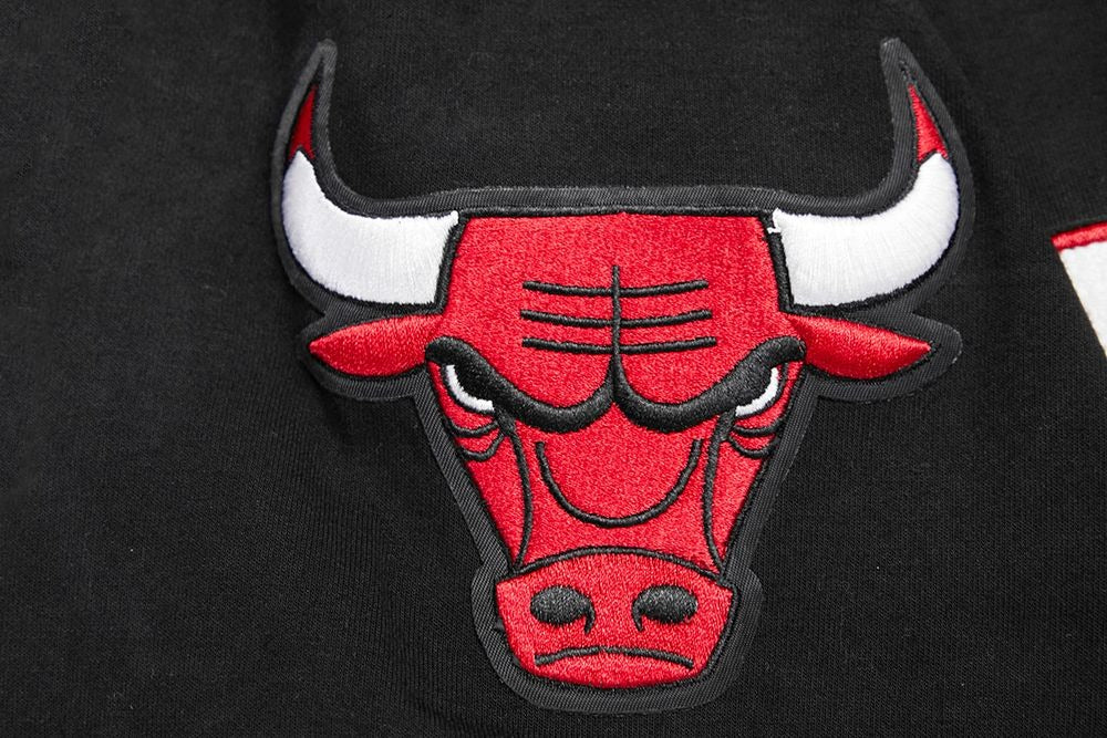 CHICAGO BULLS MEN'S BUTTON DOWN CLASSIC CHENILLE