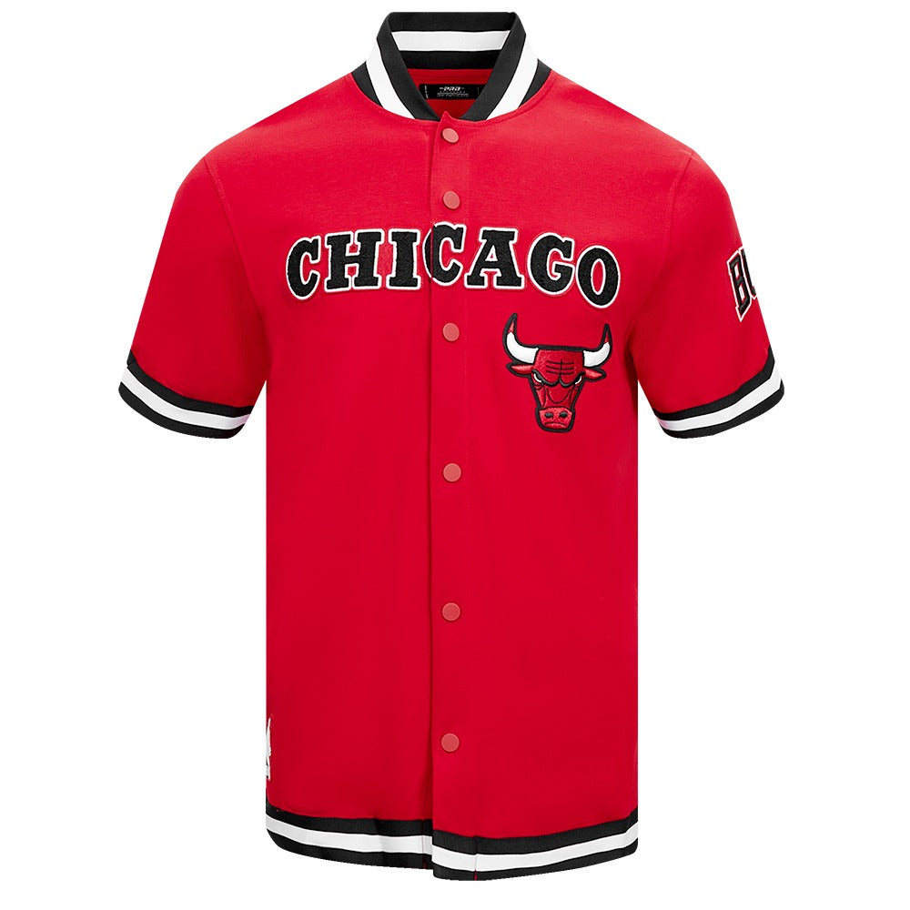 CHICAGO BULLS MEN'S BUTTON DOWN CLASSIC CHENILLE