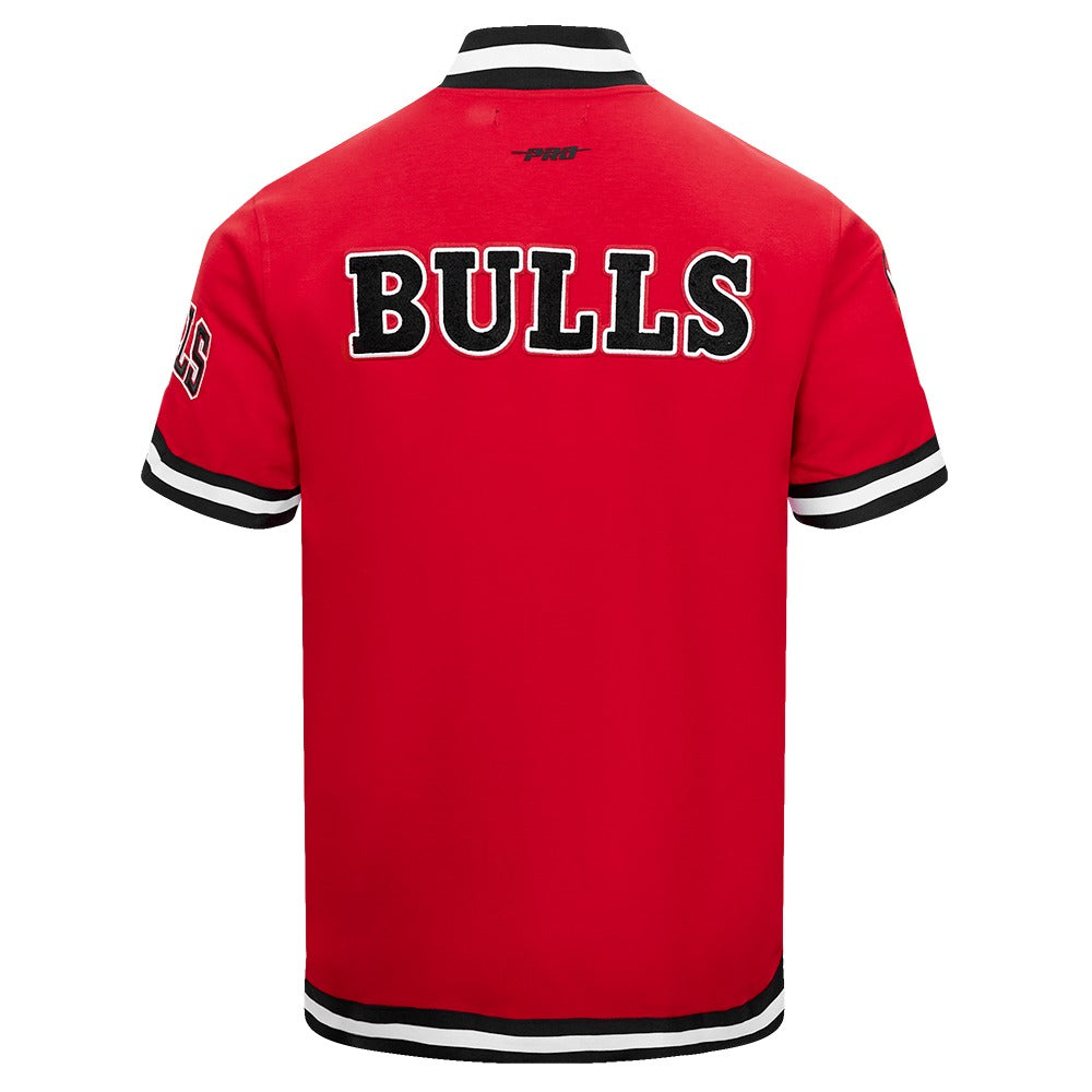 CHICAGO BULLS MEN'S BUTTON DOWN CLASSIC CHENILLE