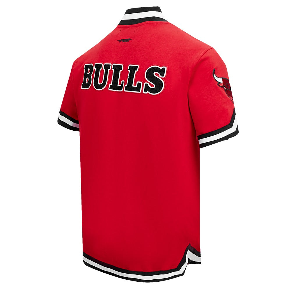 CHICAGO BULLS MEN'S BUTTON DOWN CLASSIC CHENILLE