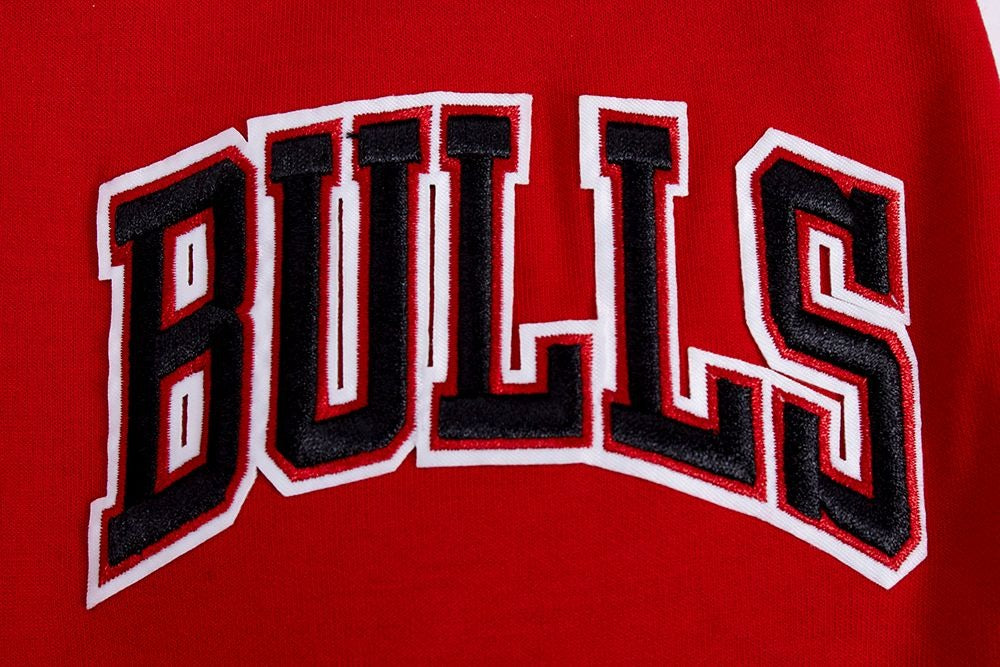 CHICAGO BULLS MEN'S BUTTON DOWN CLASSIC CHENILLE