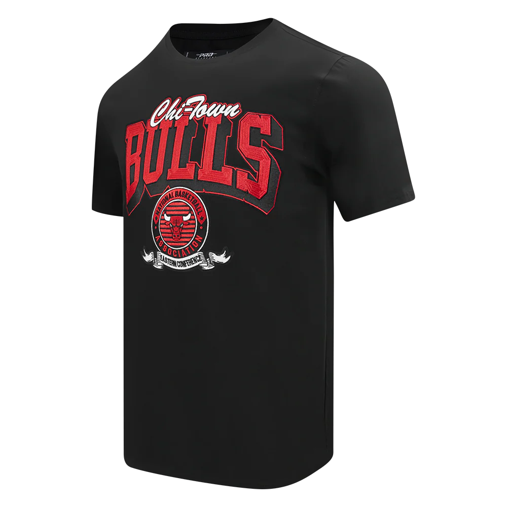NBA CHICAGO BULLS TEAM BADGE MEN'S WM SJ TEE