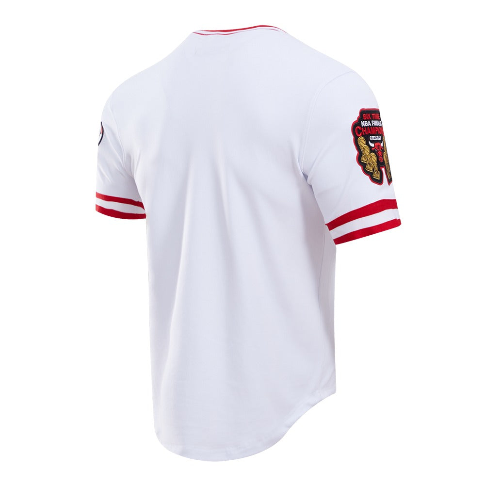 CHICAGO BULLS CLASSIC CHENILLE S/S TEE