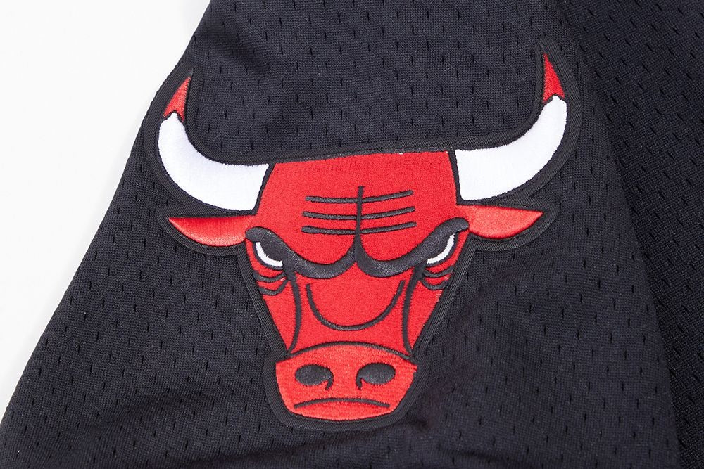 CHICAGO BULLS MEN'S S/S MESH TOP MESH