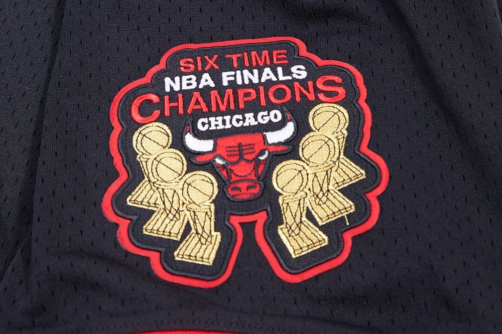 CHICAGO BULLS MEN'S S/S MESH TOP MESH