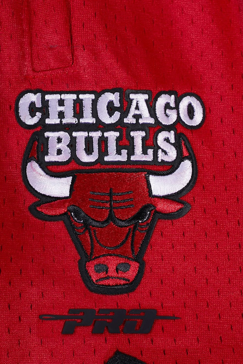 Chicago Bulls Athletic Script Tail Shorts