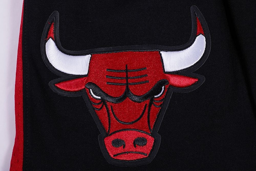 Chicago Bulls Athletic Script Tail Shorts