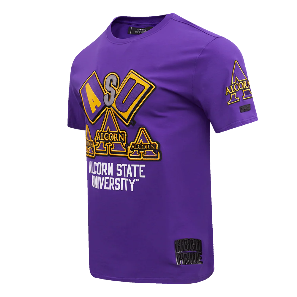 ALCORN STATE UNIVERSITY HOMECOMING SINGLE JERSEY MEN'S TEE