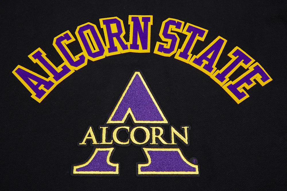 ALCORN STATE UNIVERSITY CLASSIC MEN'S STACKED LOGO PULLOVER HOODIE