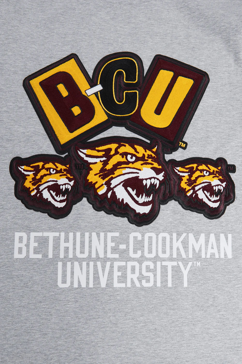 BETHUNE-COOKMAN UNIVERSITY HOMECOMING SINGLE JERSEY MEN'S TEE