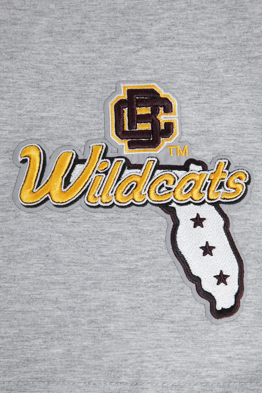 BETHUNE-COOKMAN UNIVERSITY HOMECOMING SINGLE JERSEY MEN'S TEE
