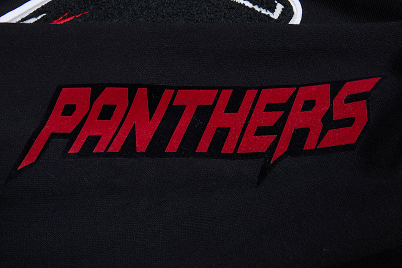 CLARK ATLANTA UNIVERSITY CLASSIC MEN'S STACKED LOGO PO HOODIE