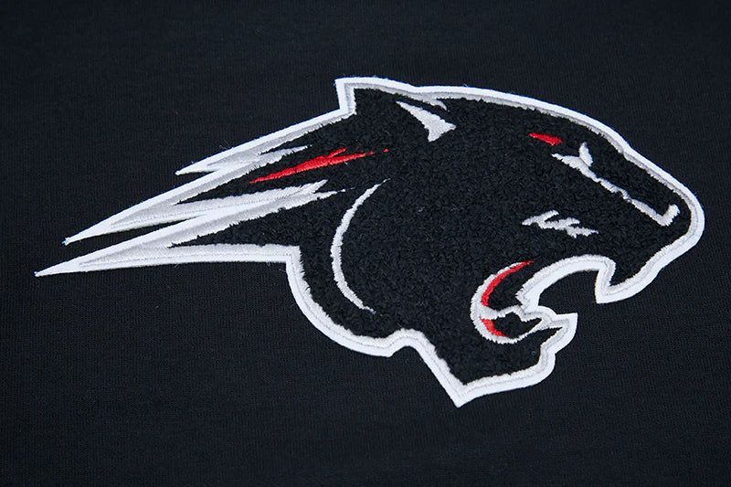 CLARK ATLANTA UNIVERSITY CLASSIC MEN'S PO HOODIE