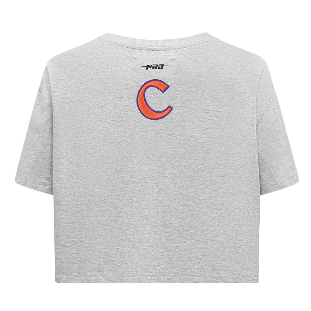 CLEMSON UNIVERSITY CLASSIC SINGLE JERSEY BOXY TEE