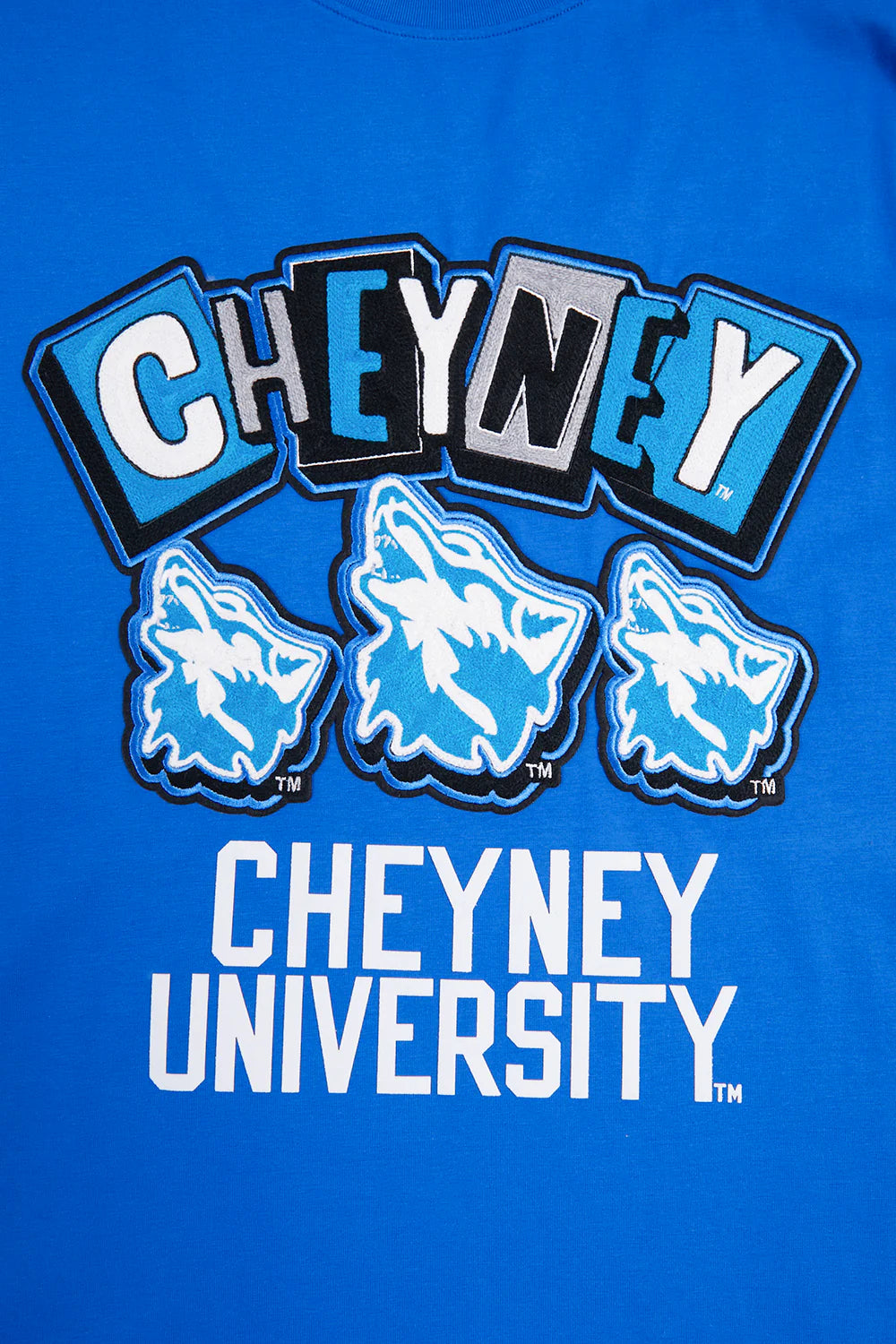 CHEYNEY UNIVERSITY OF PENNSYLVANIA HOMECOMING SINGLE JERSEY MEN'S TEE