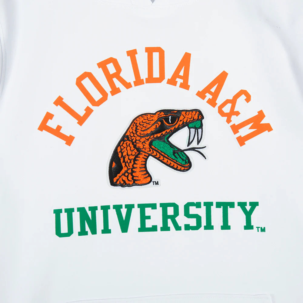 FLORIDA A&M UNIVERSITY CLASSIC MEN'S STACKED LOGO PULLOVER HOODIE