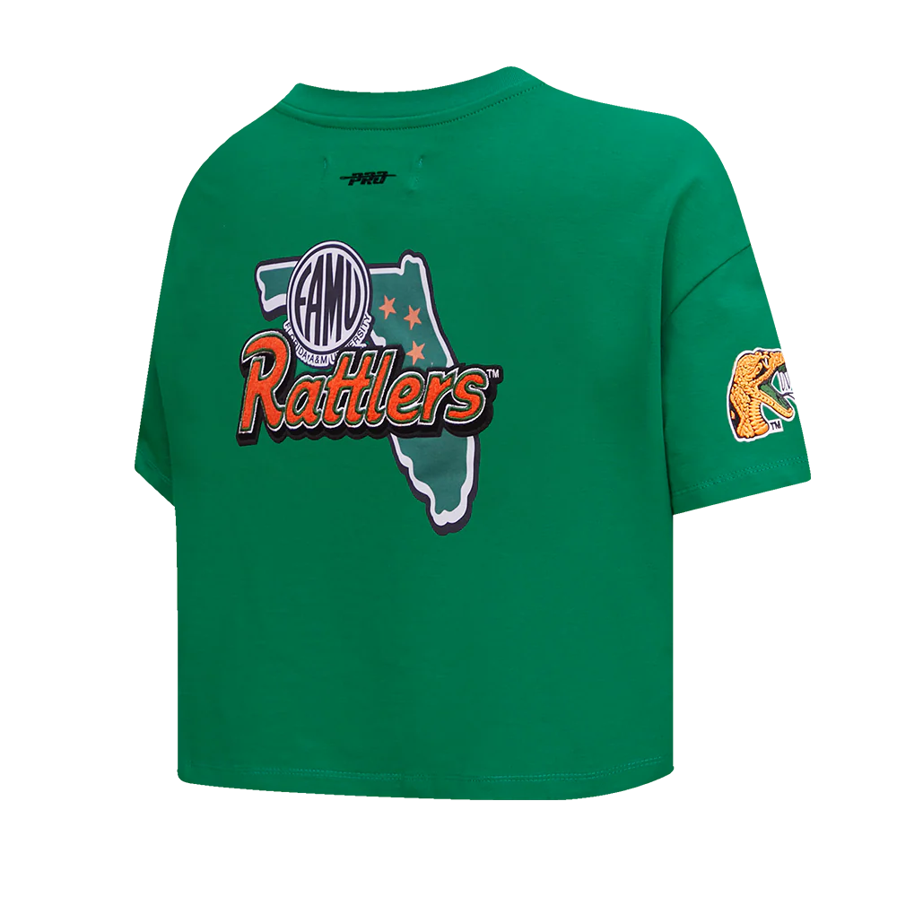 FLORIDA A&M UNIVERSITY HOMECOMING SINGLE JERSEY BOXY TEE