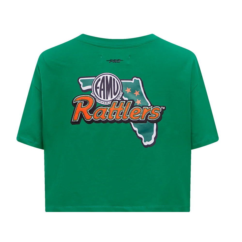 FLORIDA A&M UNIVERSITY HOMECOMING SINGLE JERSEY BOXY TEE