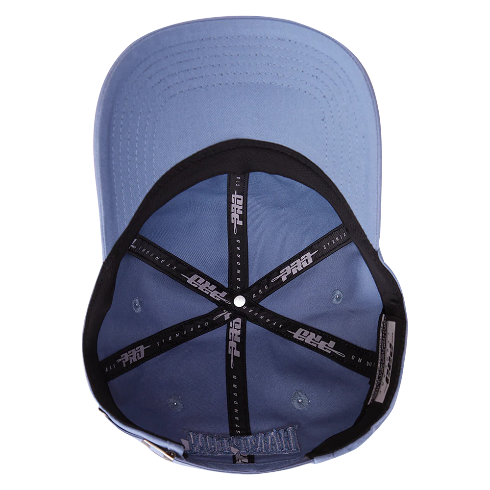 HAMPTON UNIVERSITY NEUTRAL DAD HAT