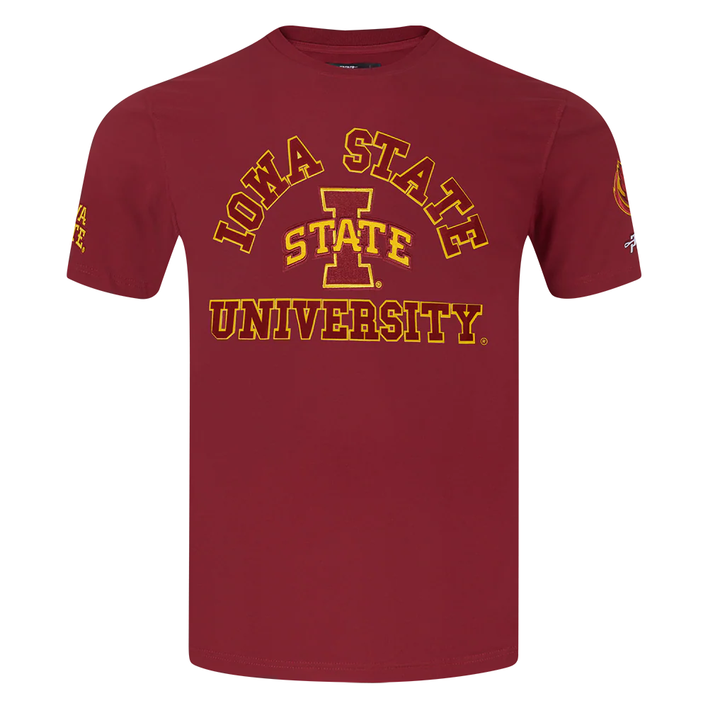 COLLEGE IOWA STATE UNIVERSITY COLLEGE CLASSIC CHENILLE MEN'S SJ TEE