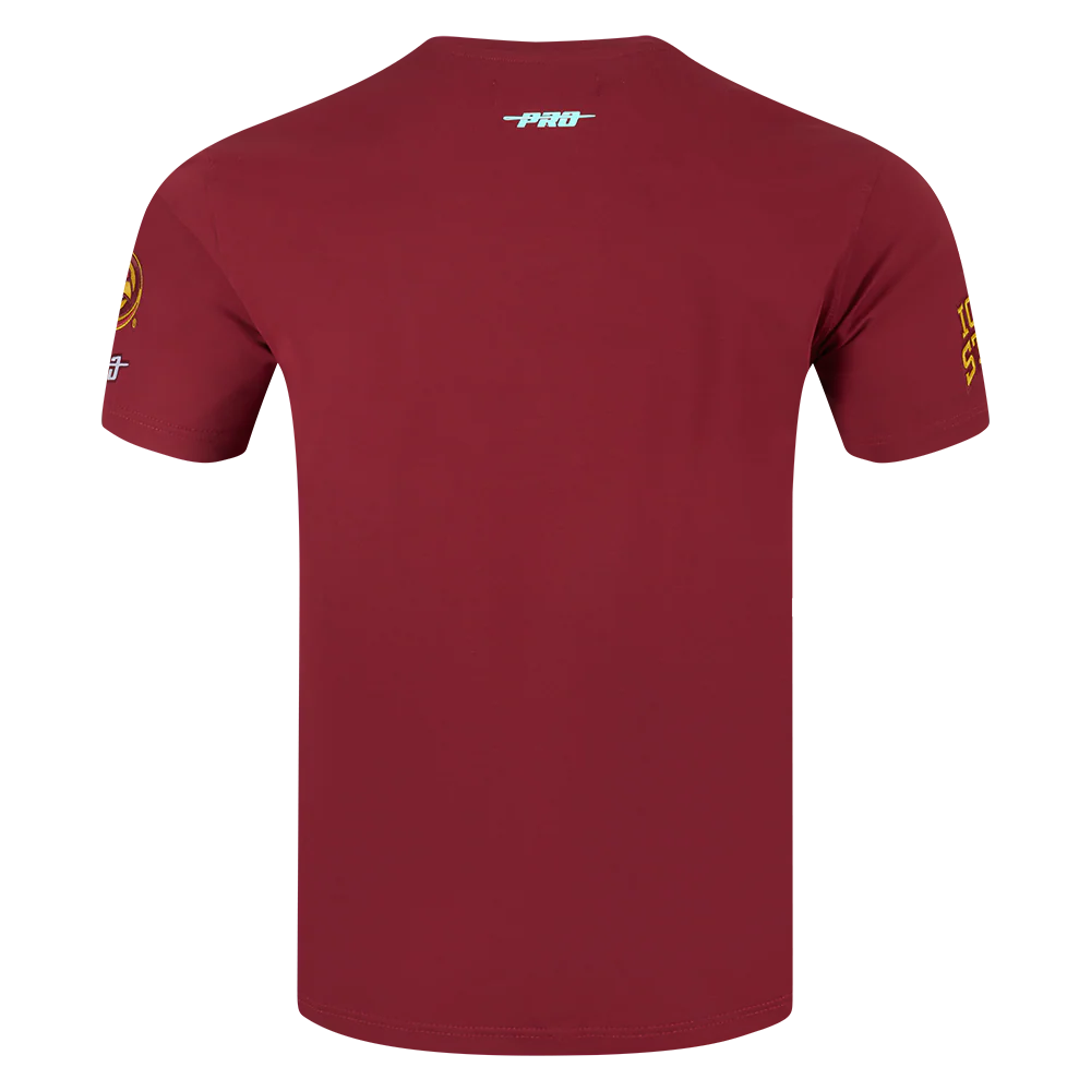 COLLEGE IOWA STATE UNIVERSITY COLLEGE CLASSIC CHENILLE MEN'S SJ TEE