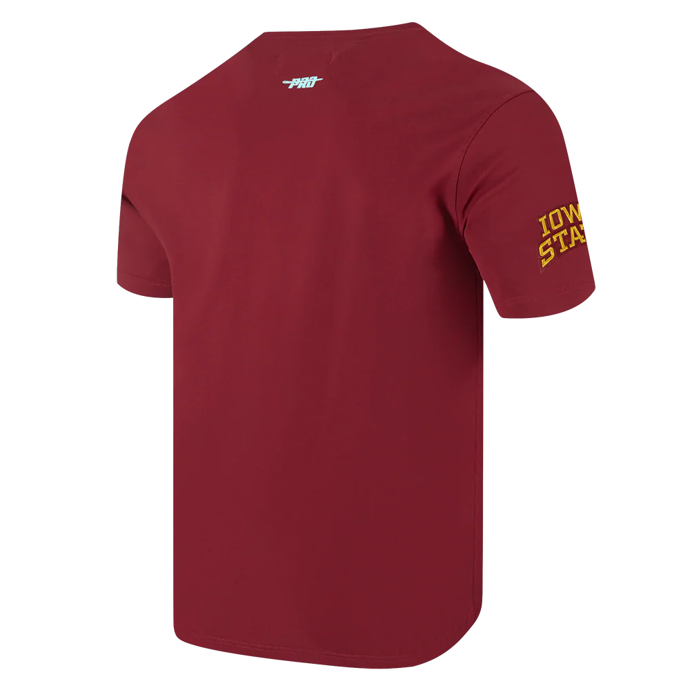 COLLEGE IOWA STATE UNIVERSITY COLLEGE CLASSIC CHENILLE MEN'S SJ TEE