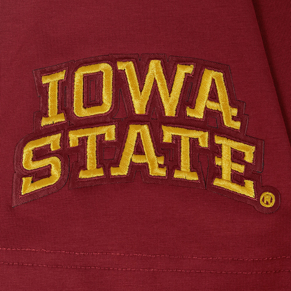 COLLEGE IOWA STATE UNIVERSITY COLLEGE CLASSIC CHENILLE MEN'S SJ TEE