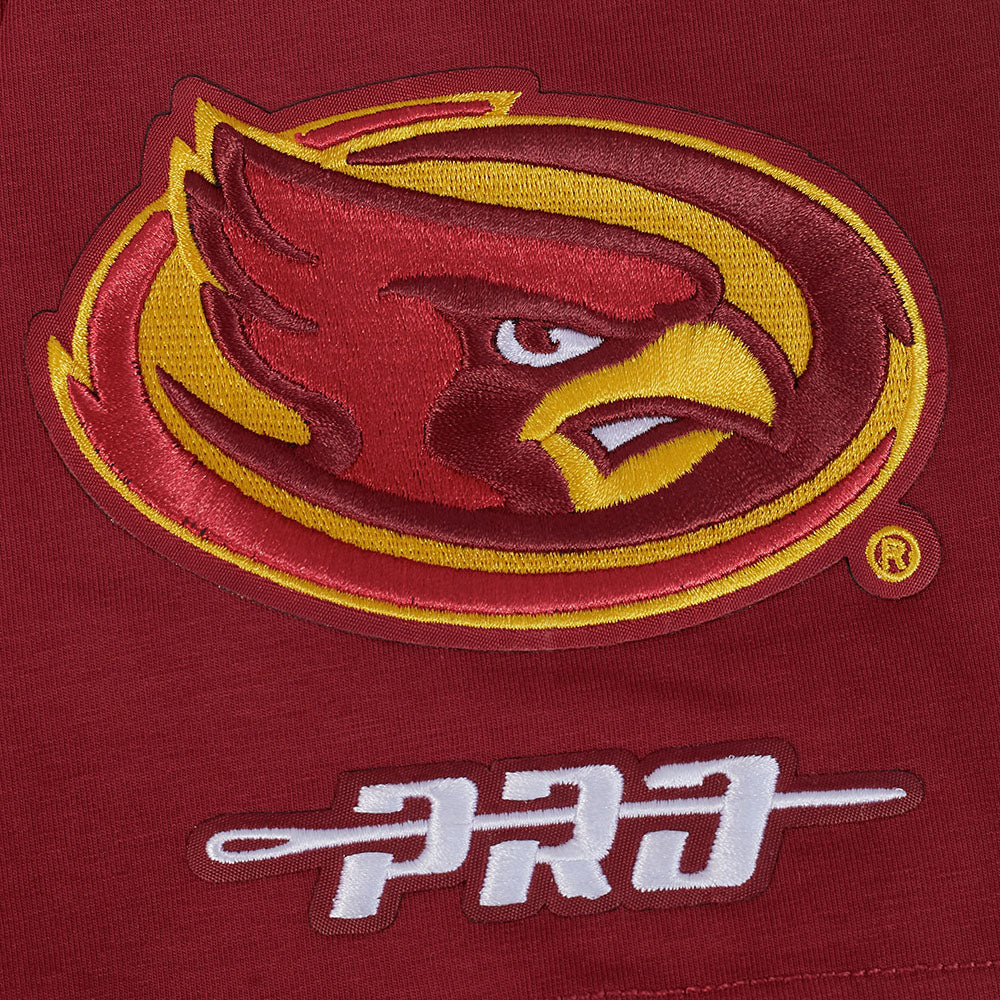 COLLEGE IOWA STATE UNIVERSITY COLLEGE CLASSIC CHENILLE MEN'S SJ TEE