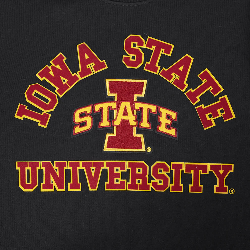 COLLEGE IOWA STATE UNIVERSITY COLLEGE CLASSIC CHENILLE MEN'S RIB FLC CREWNECK