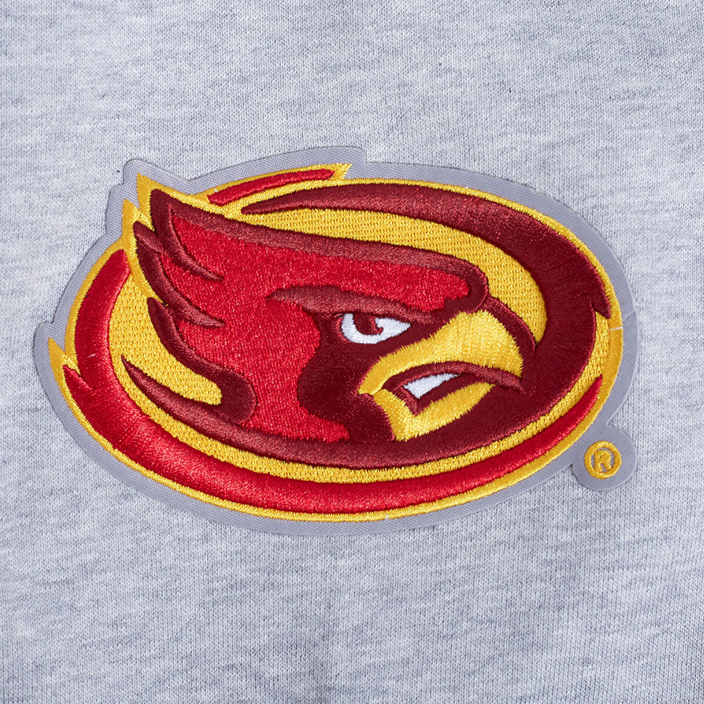 COLLEGE IOWA STATE UNIVERSITY COLLEGE CLASSIC CHENILLE MEN'S RIB FLC PO HOODIE