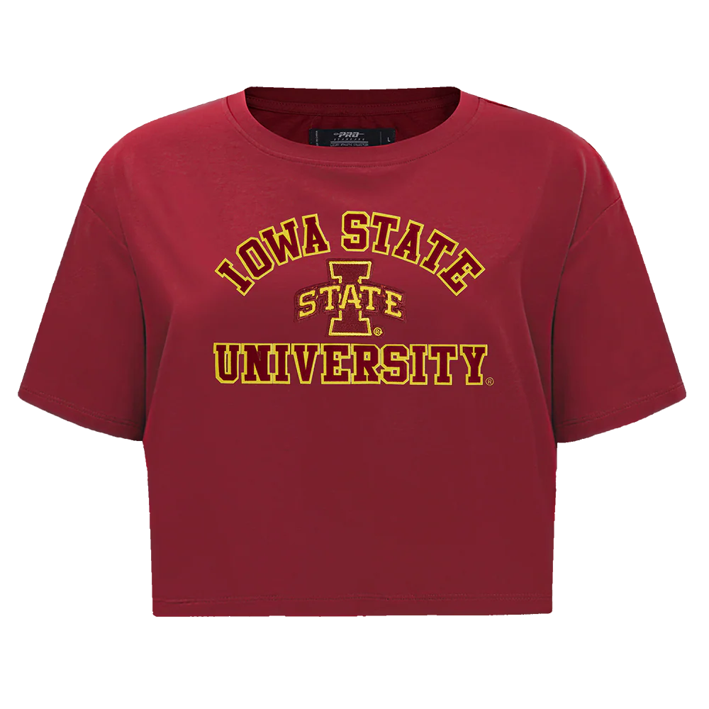 COLLEGE IOWA STATE UNIVERSITY COLLEGE CLASSIC ESSENTIALS WOMEN'S SJ BOXY TEE