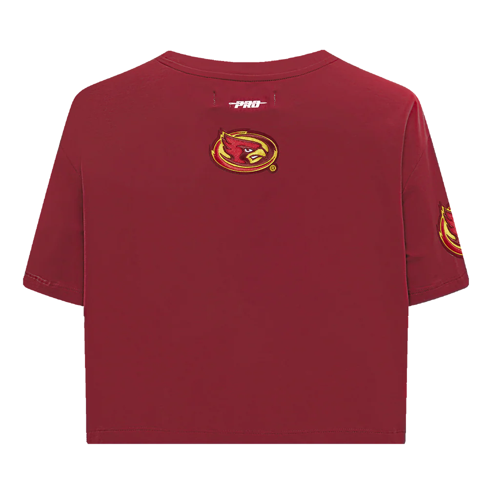 COLLEGE IOWA STATE UNIVERSITY COLLEGE CLASSIC ESSENTIALS WOMEN'S SJ BOXY TEE