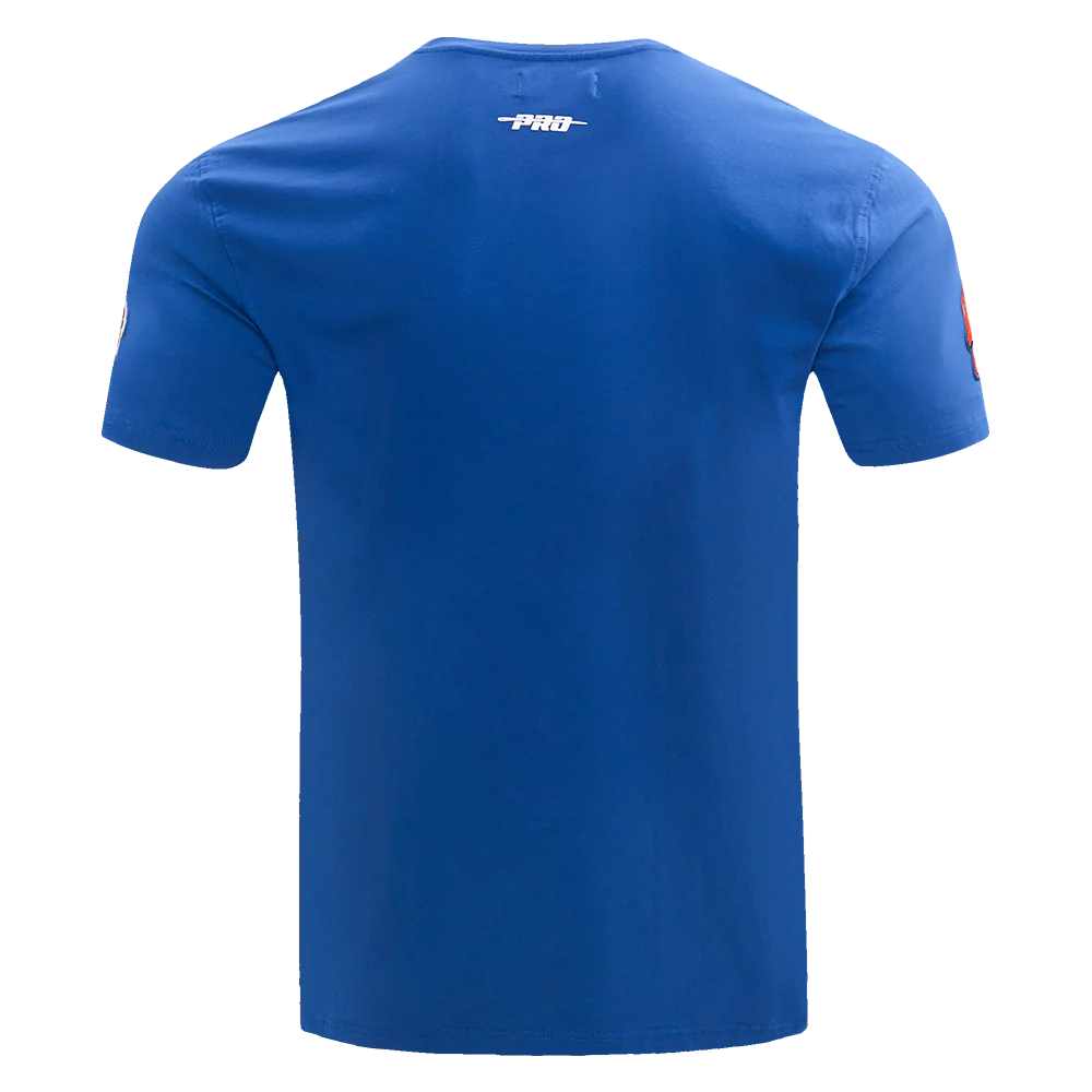 LINCOLN UNIVERSITY HOMECOMING SINGLE JERSEY MEN'S TEE