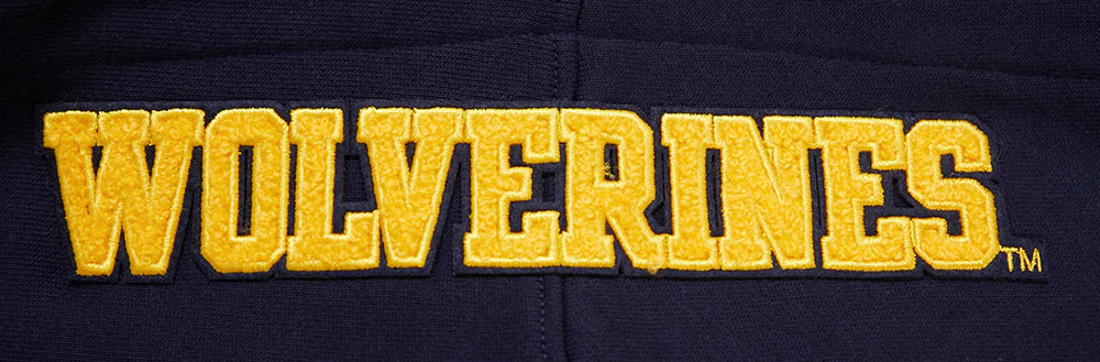 UNIVERSITY OF MICHIGAN CLASSIC MEN'S STACKED LOGO PULLOVER HOODIE