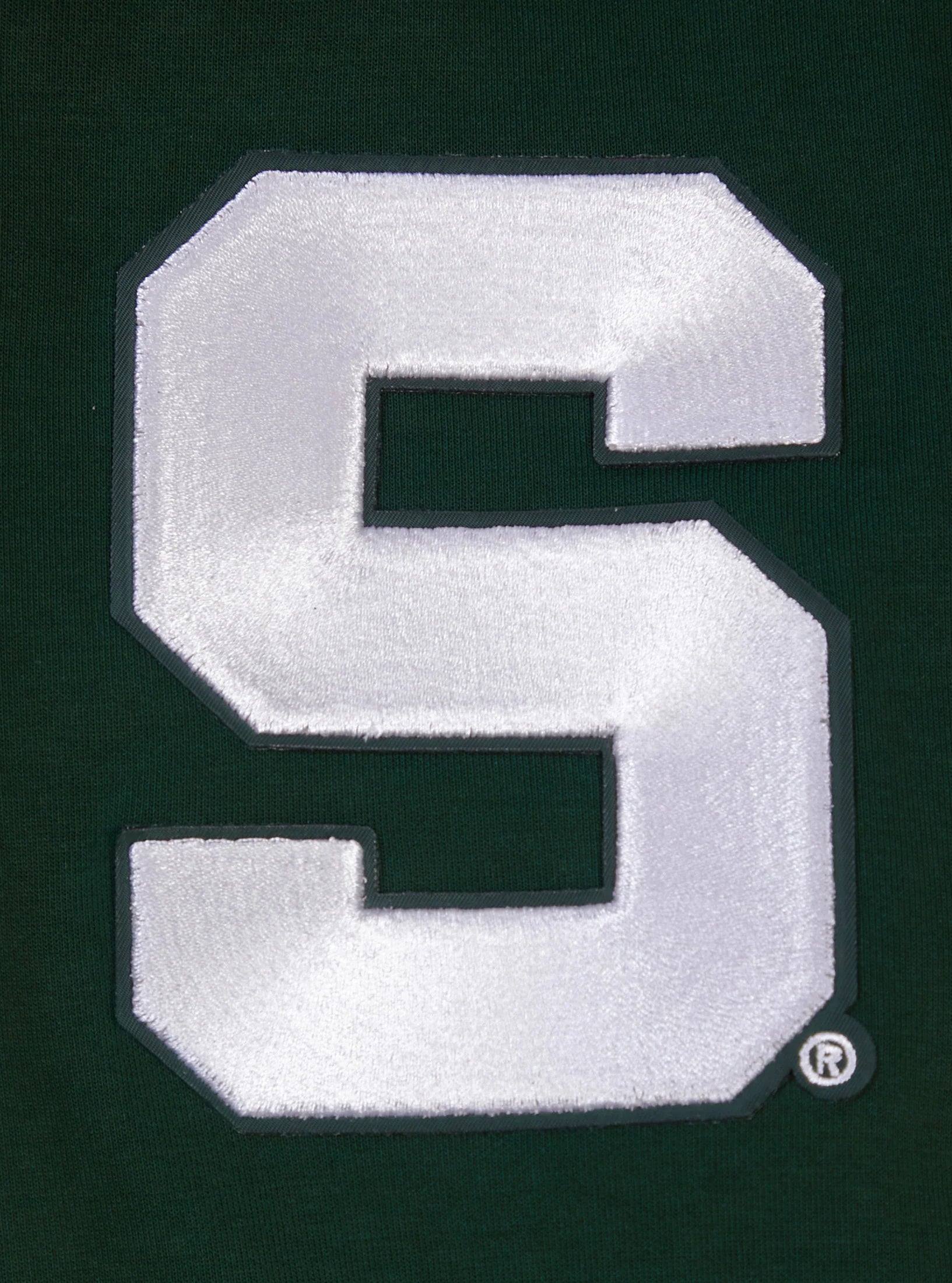 MICHIGAN STATE UNIVERSITY CLASSIC MEN'S PULLOVER HOODIE