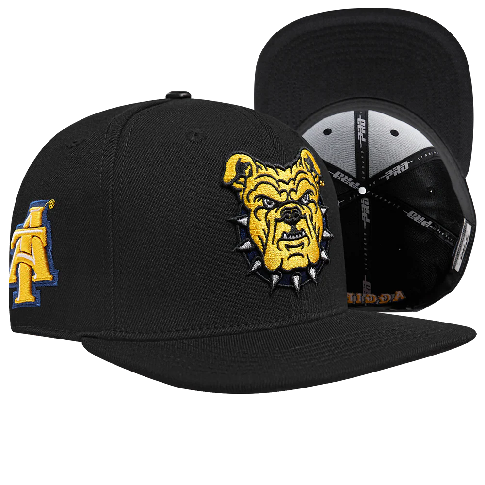 NORTH CAROLINA A&T STATE UNIVERSITY CLASSIC PRIMARY LOGO WOO
