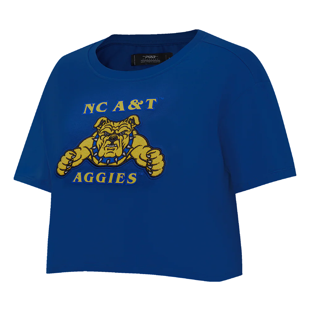 NORTH CAROLINA A&T STATE UNIVERSITY CLASSIC WOMEN'S SINGLE JERSEY BOXY TEE