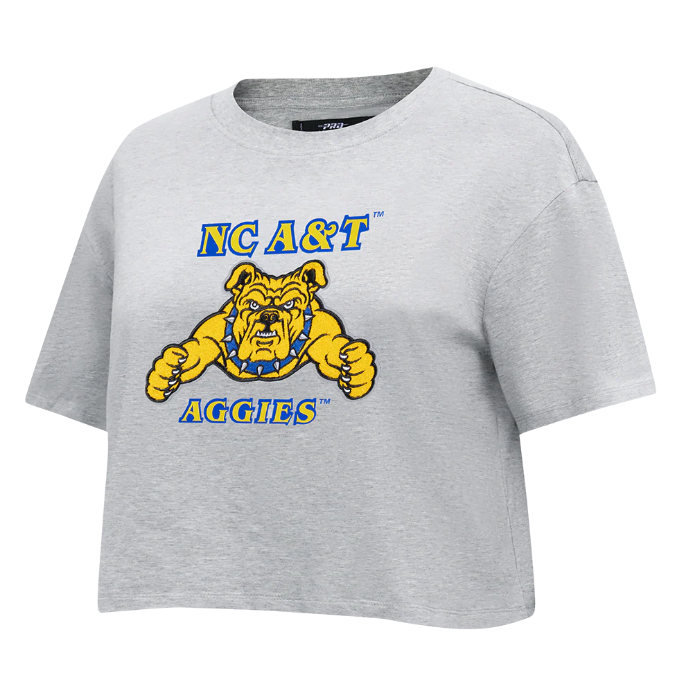 NORTH CAROLINA A&T STATE UNIVERSITY CLASSIC WOMEN'S SINGLE JERSEY BOXY TEE