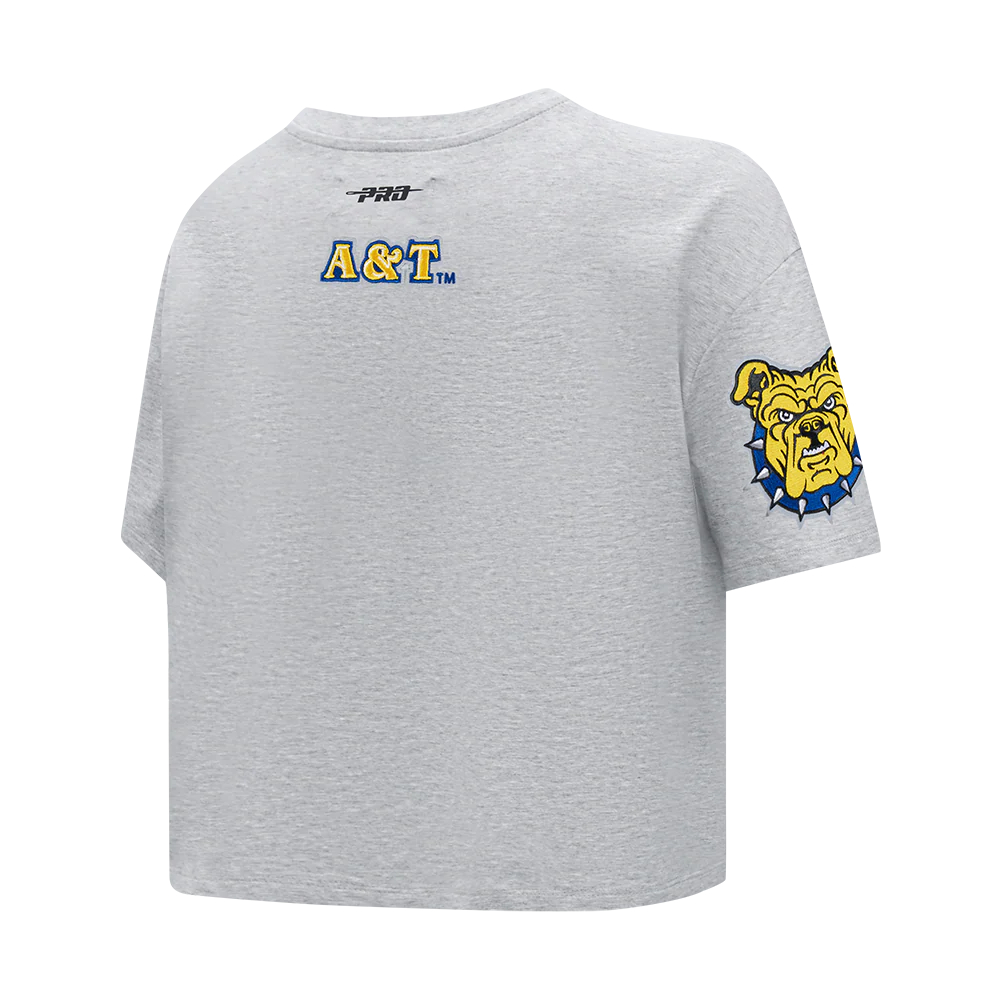 NORTH CAROLINA A&T STATE UNIVERSITY CLASSIC WOMEN'S SINGLE JERSEY BOXY TEE