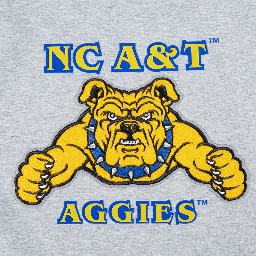 NORTH CAROLINA A&T STATE UNIVERSITY CLASSIC WOMEN'S SINGLE JERSEY BOXY TEE
