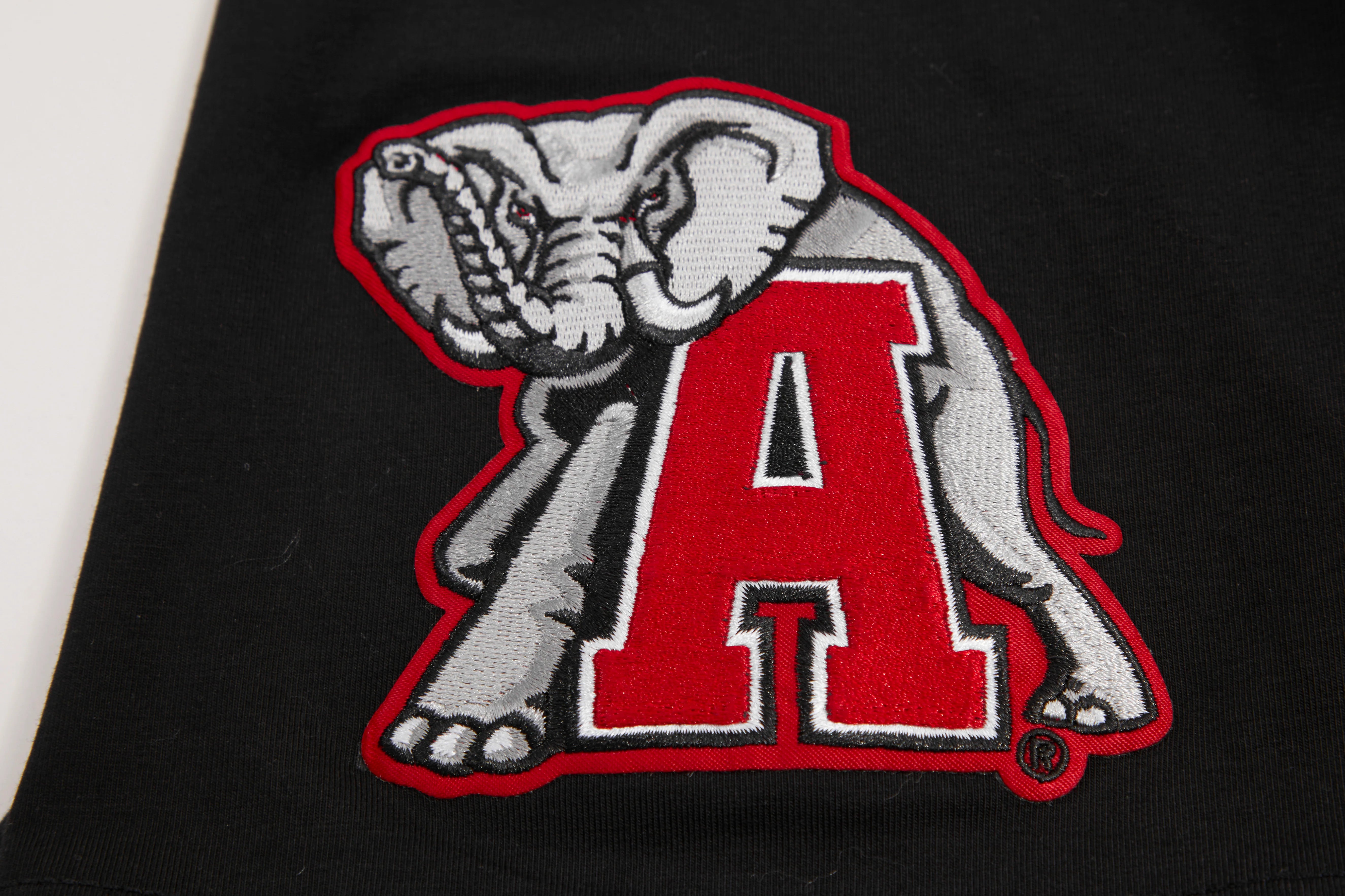 UNIVERSITY OF ALABAMA CLASSIC MEN'S TEE