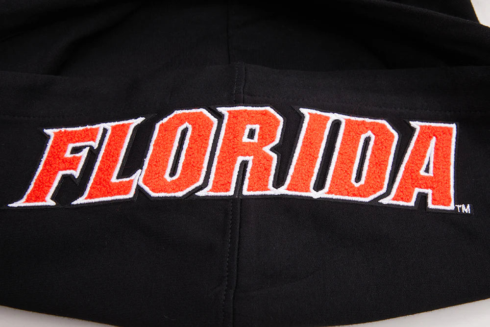 UNIVERSITY OF FLORIDA CLASSIC MEN'S PULLOVER HOODIE