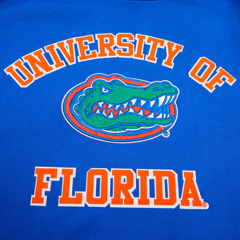 UNIVERSITY OF FLORIDA CLASSIC MEN'S STACKED LOGO PULLOVER HOODIE