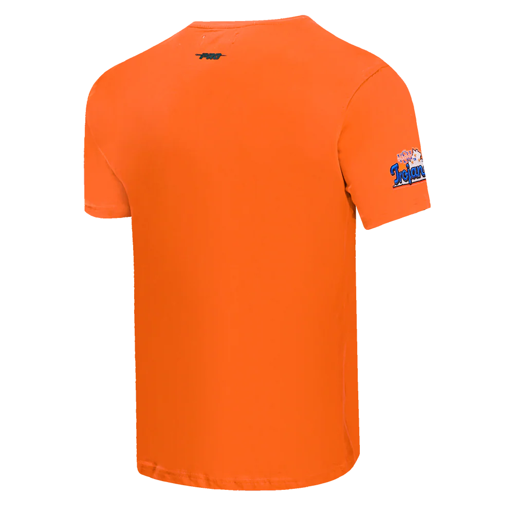 VIRGINIA STATE UNIVERSITY HOMECOMING SINGLE JERSEY MEN'S TEE