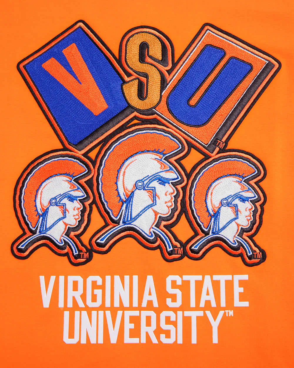 VIRGINIA STATE UNIVERSITY HOMECOMING SINGLE JERSEY MEN'S TEE