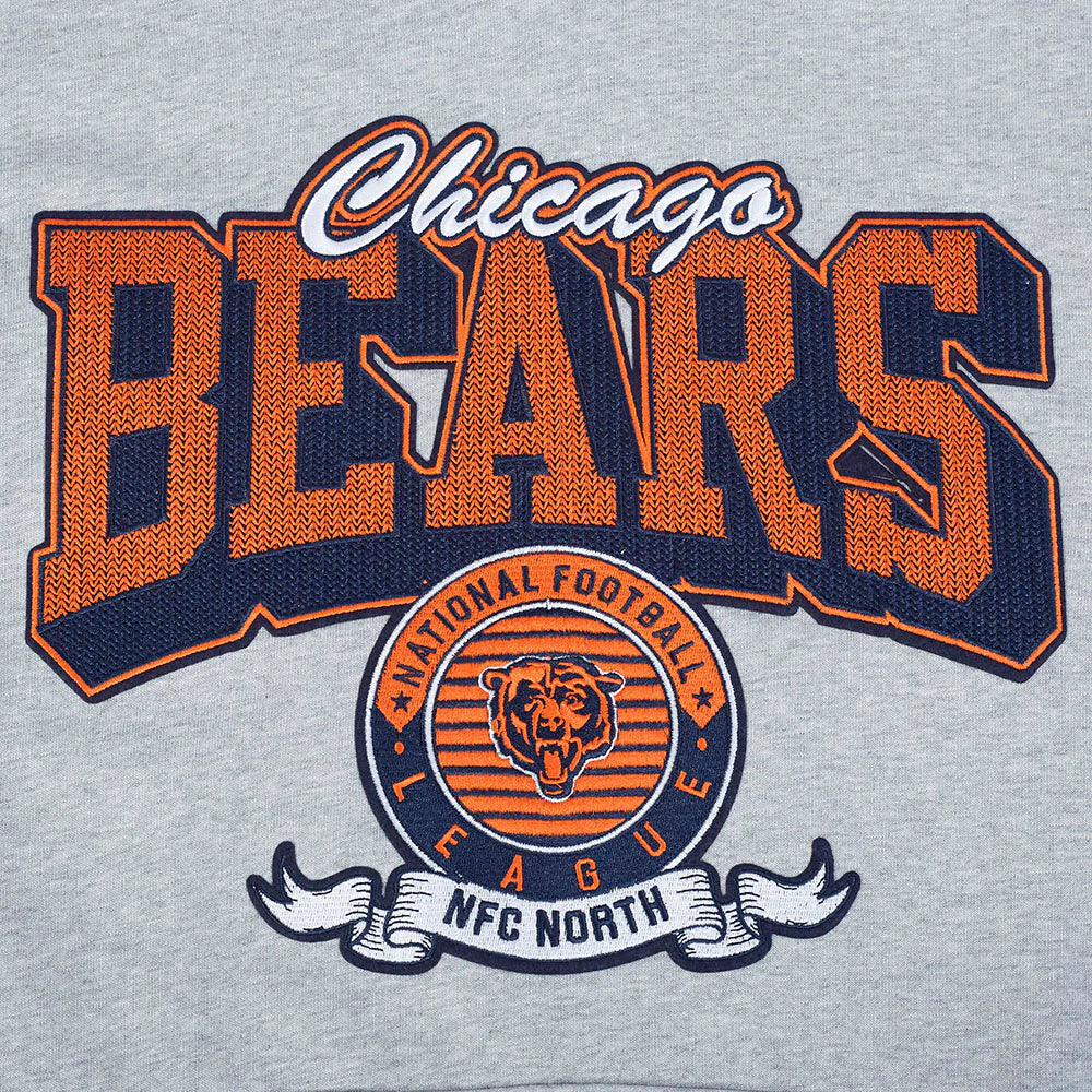 NFL CHICAGO BEARS TEAM BADGE MEN'S RIB FLC PO HOODIE