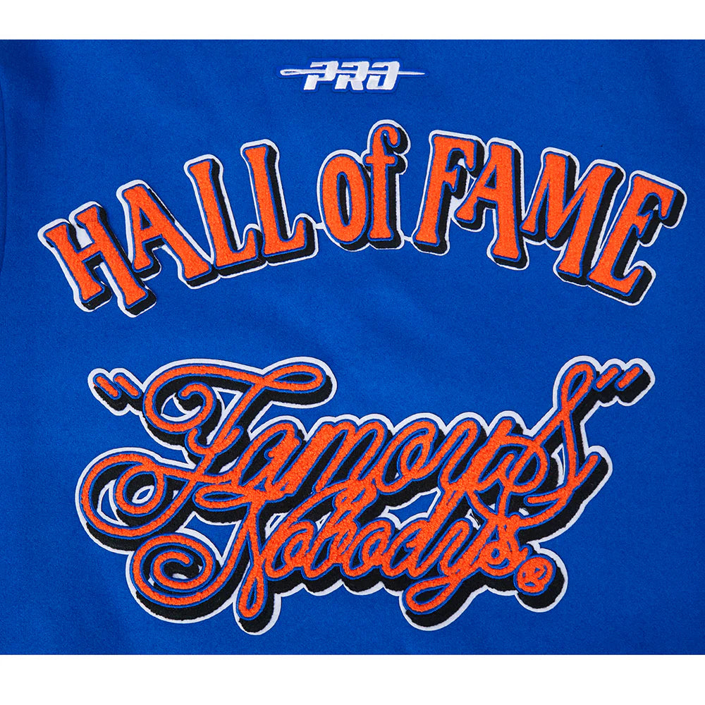 FAMOUS NOBODYS HALL OF FAME MEN'S RIB WOOL VARSITY JACKET