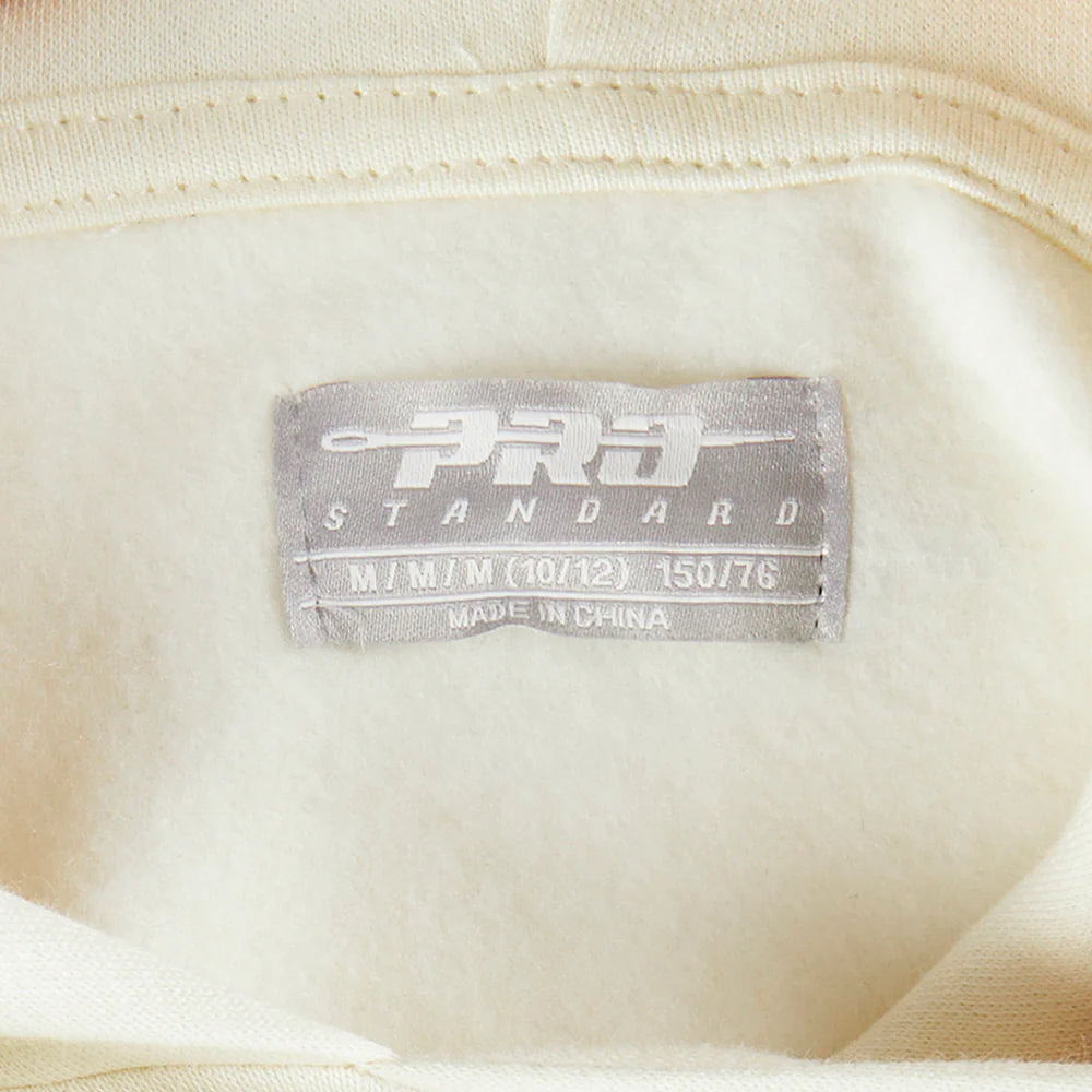 NFL PHILADELPHIA EAGLES RETRO CLASSIC BIG BOYS RIB FLEECE PULLOVER HOODIE