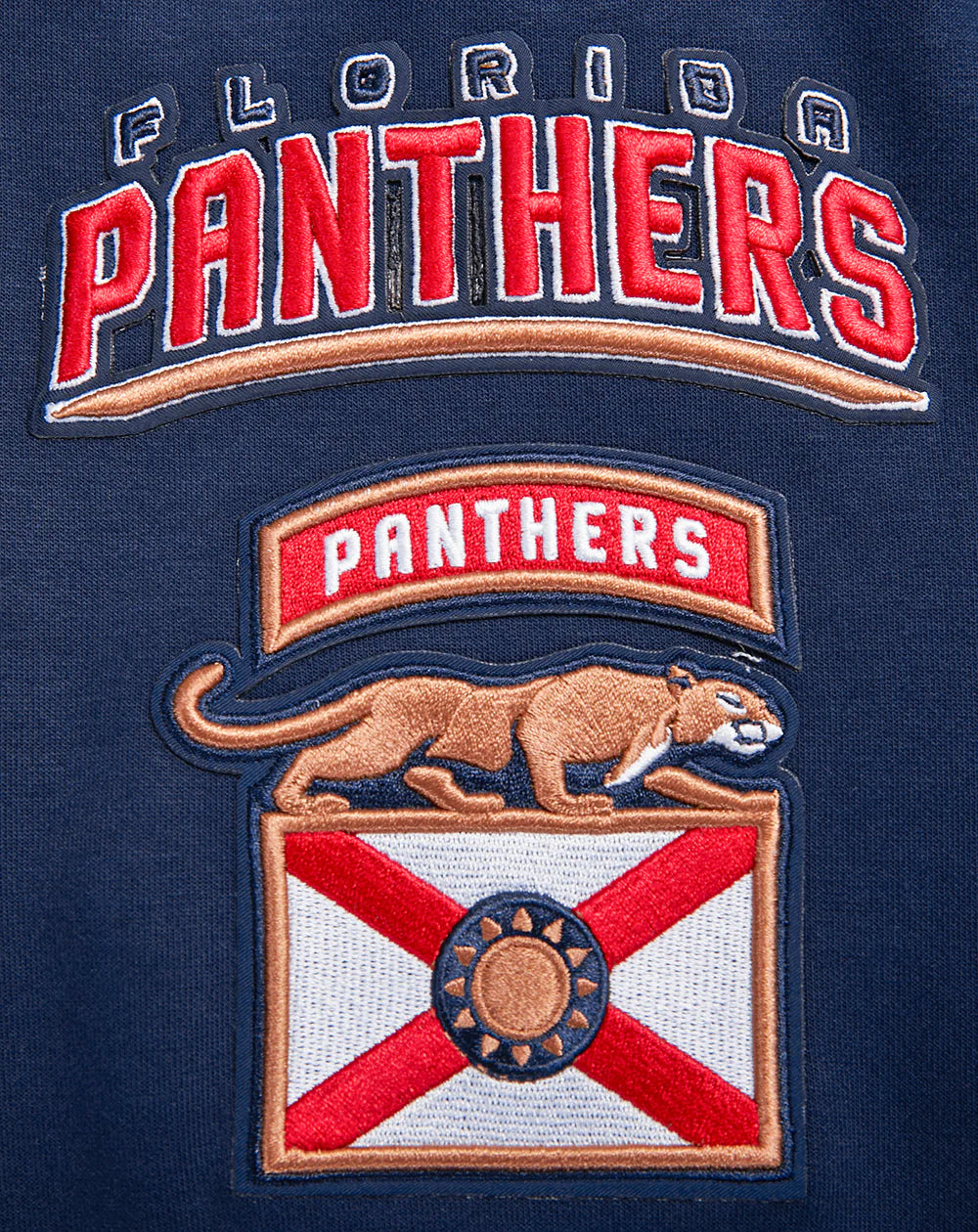 NHL FLORIDA PANTHERS CLASSIC CHENILLE MEN'S DOUBLE KNIT PULLOVER HOODIE